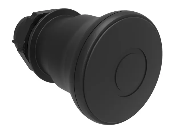 LPCB6742.jpg